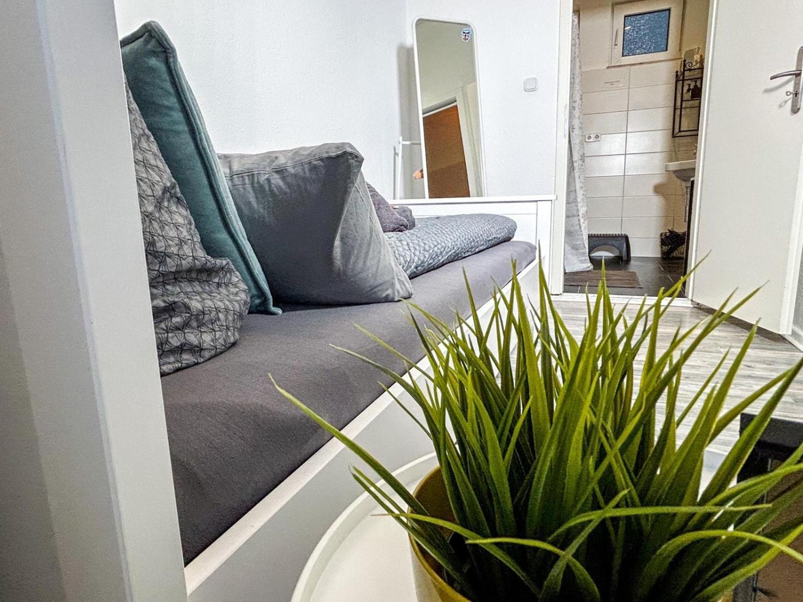 Little Dream In The Apartment